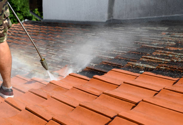 Best Pressure Washing Near Me  in Blytheville, AR